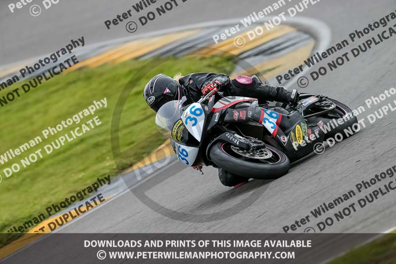 PJ Motorsport 2019;anglesey no limits trackday;anglesey photographs;anglesey trackday photographs;enduro digital images;event digital images;eventdigitalimages;no limits trackdays;peter wileman photography;racing digital images;trac mon;trackday digital images;trackday photos;ty croes